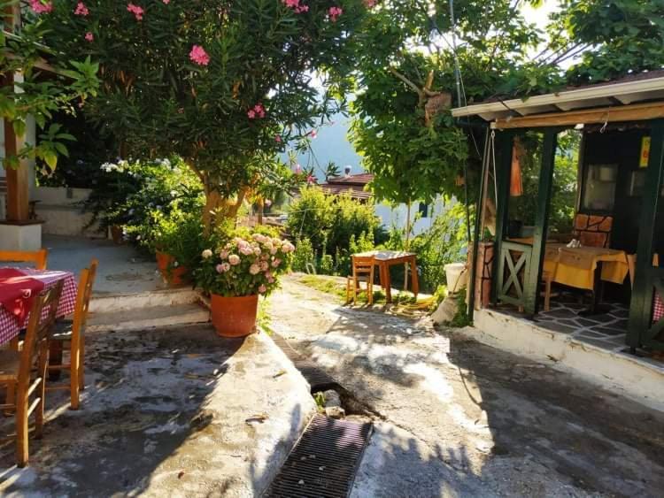 Lefkada Villas Panoramic Katouna Exteriör bild