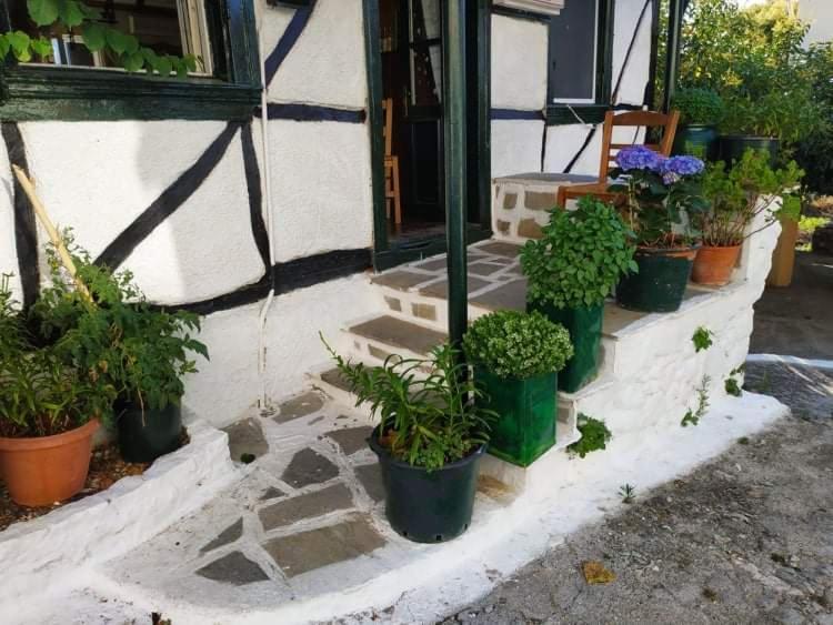 Lefkada Villas Panoramic Katouna Exteriör bild